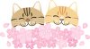 満開の桜と２匹の猫さん