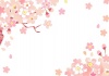 卒業式や入学式に！春、桜の花のフレーム素材の和風、和柄のテンプレートをダウンロード「PNG・PDF・JPG」