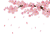 背景（桜の枝、花びら）