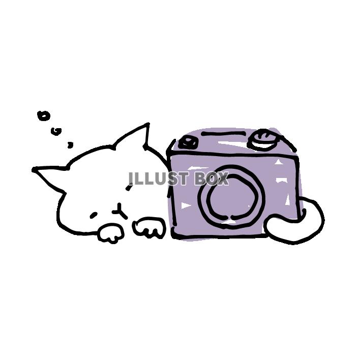 無料イラスト カメラと眠る白猫のイラスト3