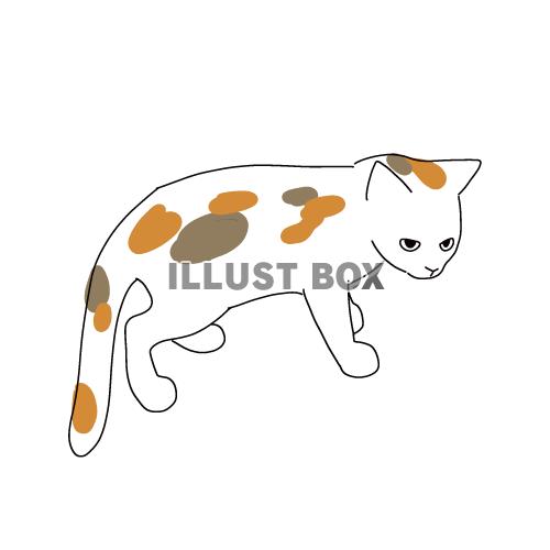 無料イラスト 猫のシンプルかわいい全身イラスト 三毛猫の子猫