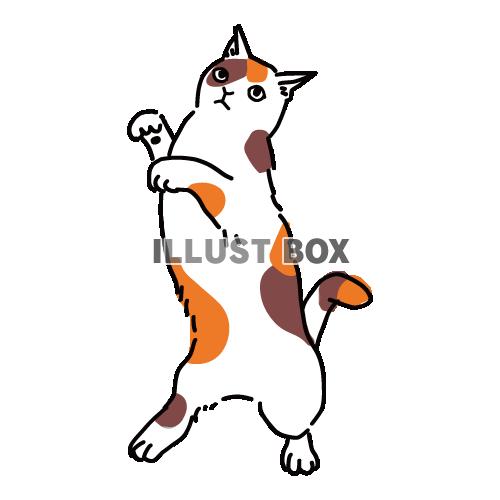 無料イラスト 猫のシンプルかわいい全身イラスト 踊る三毛猫