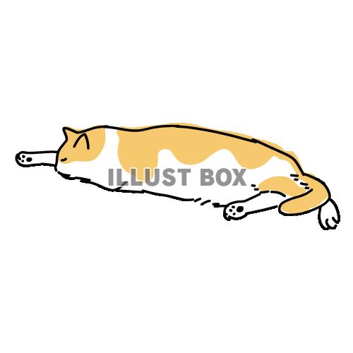 無料イラスト 猫のシンプルかわいい全身イラスト 眠っている茶白の猫
