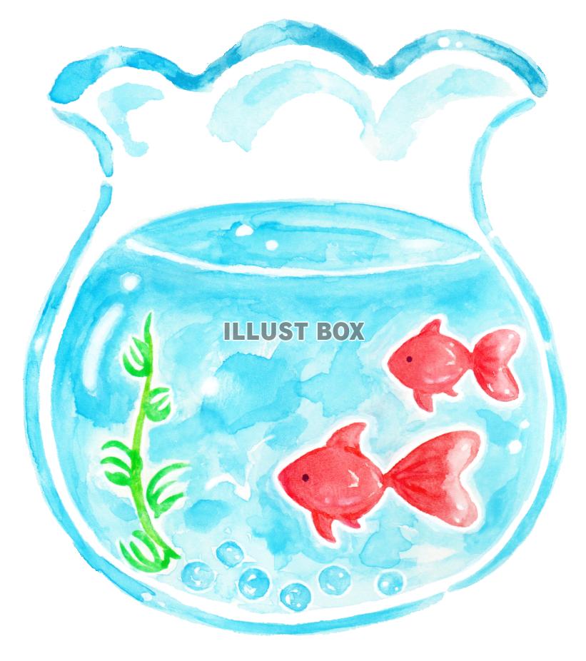 無料イラスト 水彩の金魚鉢