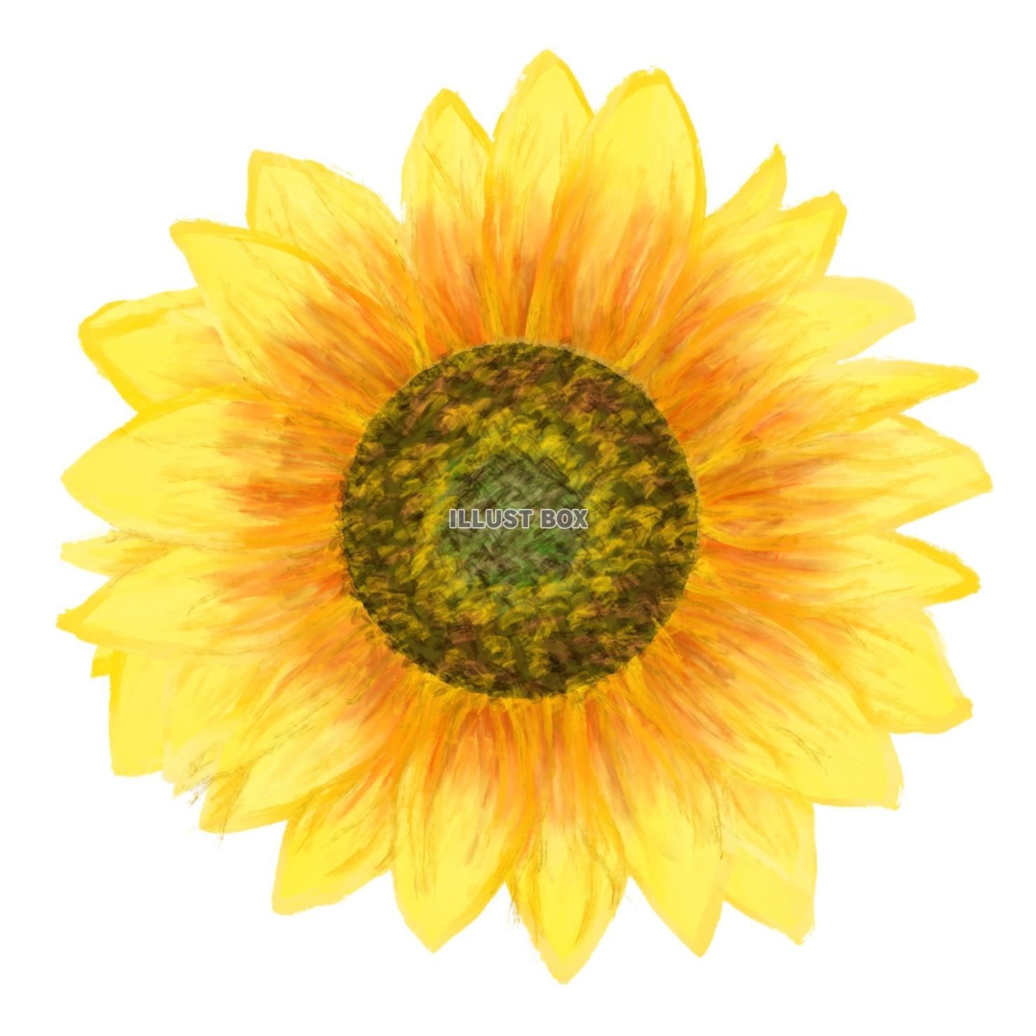 高価値セリー Picture sunflowers-ひまわり with 絵画 - powertee.com