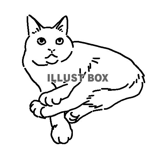 無料イラスト リラックスしている猫の全身線画イラスト