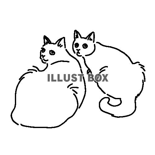 無料イラスト 振り向く二匹の猫の猫の全身線画イラスト