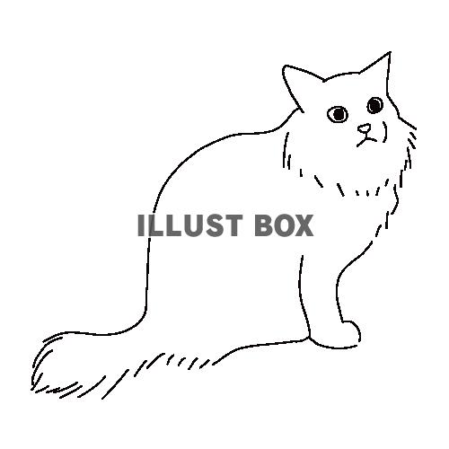 長毛種のふさふさの猫の全身線画イラスト
