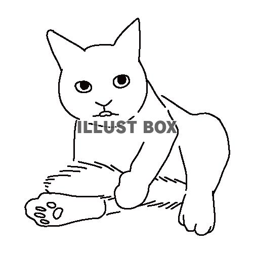 無料イラスト 尻尾の毛繕いをする猫の全身線画イラスト