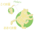 おおぐま座とこぐま座の星座図