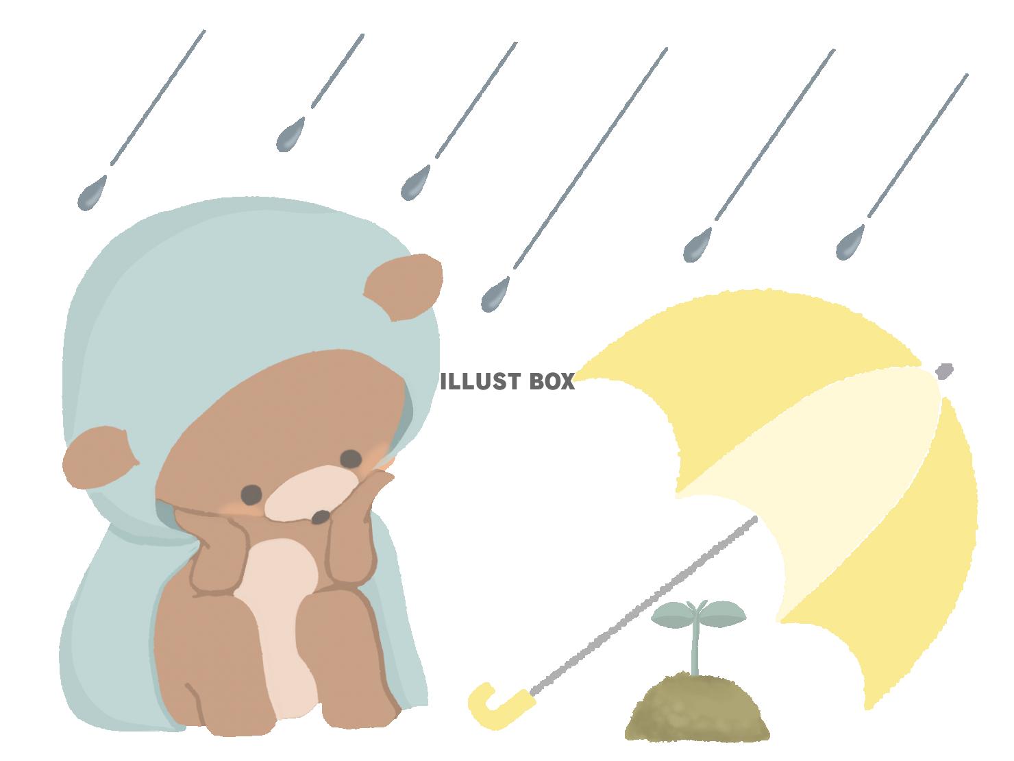 無料イラスト 雨の中双葉を見守るクマのイラスト 線なし
