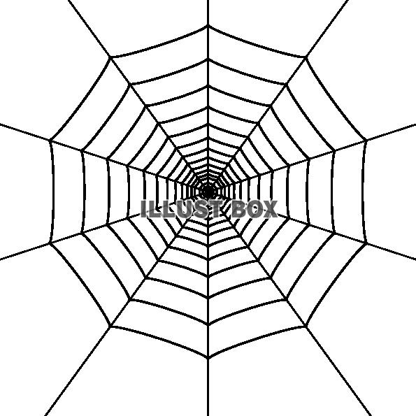 無料イラスト 蜘蛛の巣のシンプルなイラスト