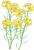 菜の花透過PNG