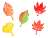水彩の落ち葉