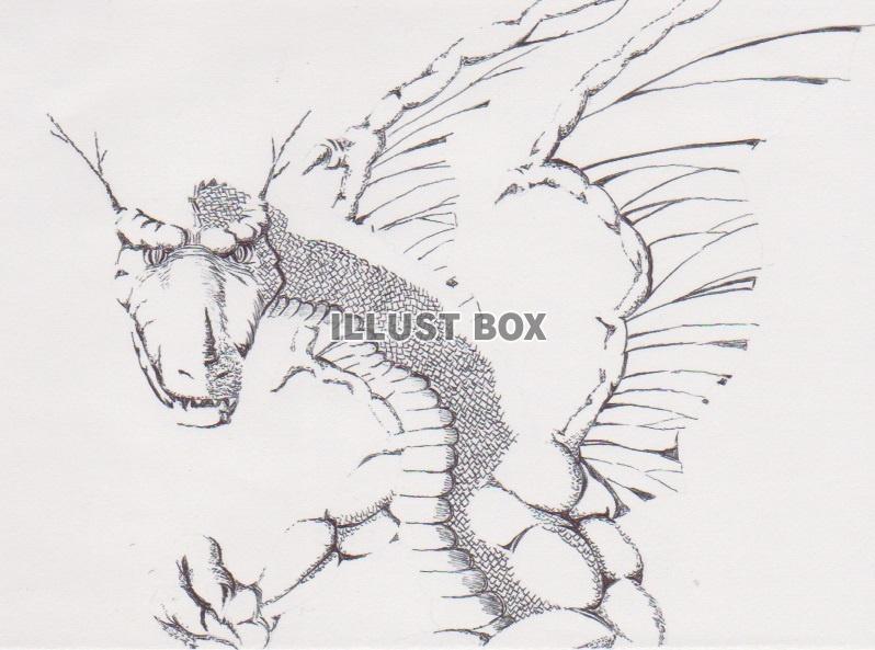 無料イラスト ドラゴンのボールペン画 2