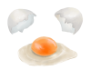 割った生卵(zipファイル: pdf,jpg,透過png)