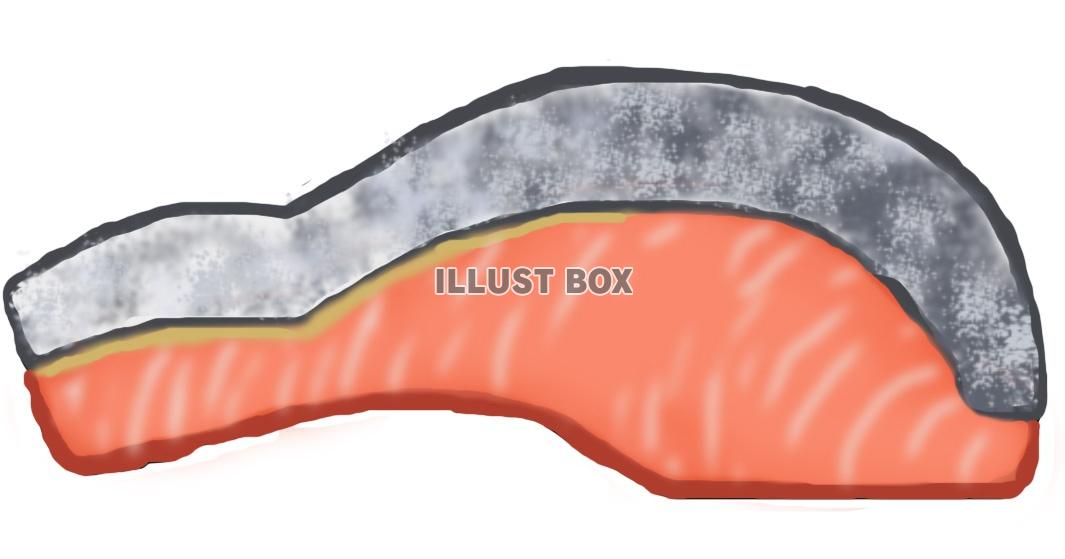 無料イラスト 鮭の切り身 Jpg