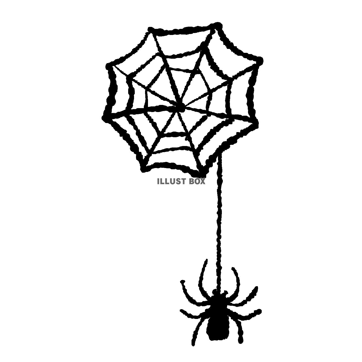無料イラスト 蜘蛛の巣からぶら下がる蜘蛛のイラスト