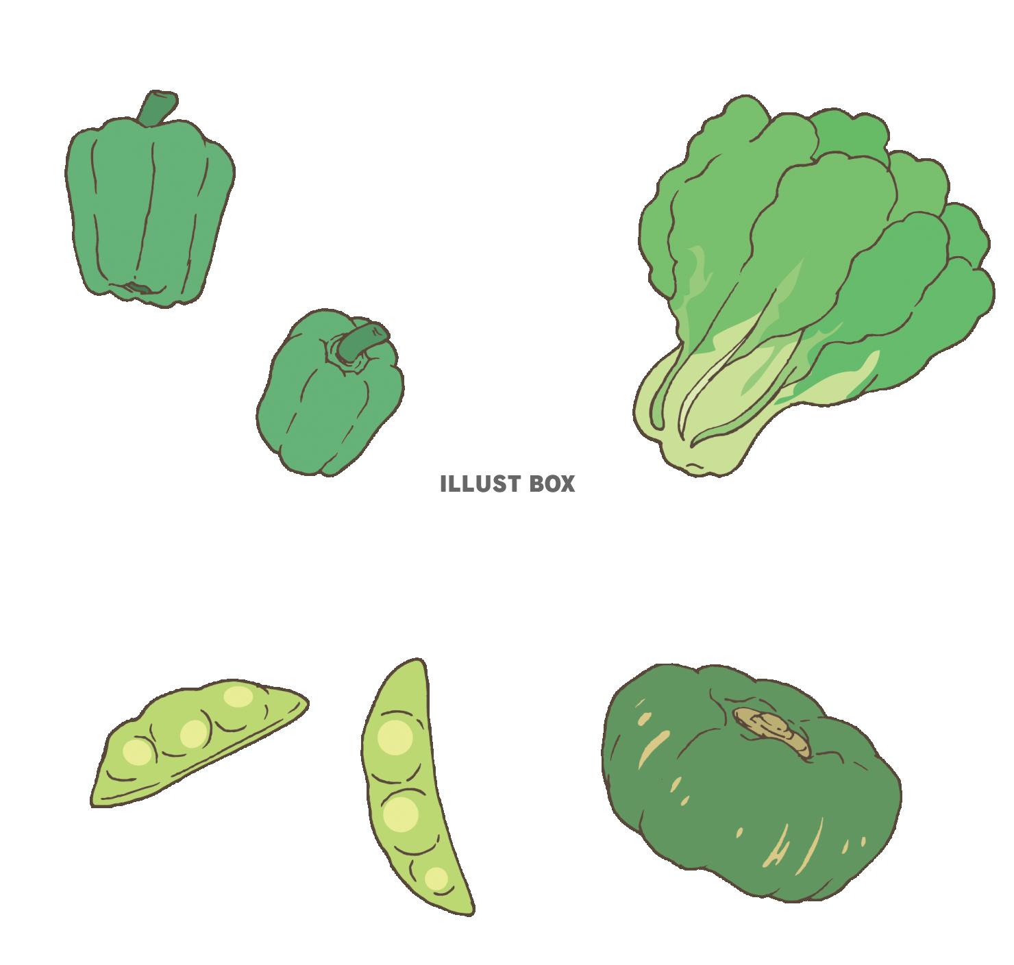 無料イラスト ベクターカット ラフに描いた緑の野菜