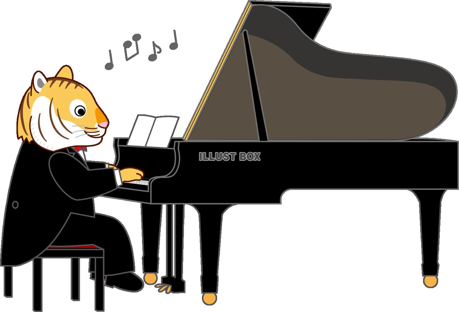 無料イラスト トラさんピアノを弾く１