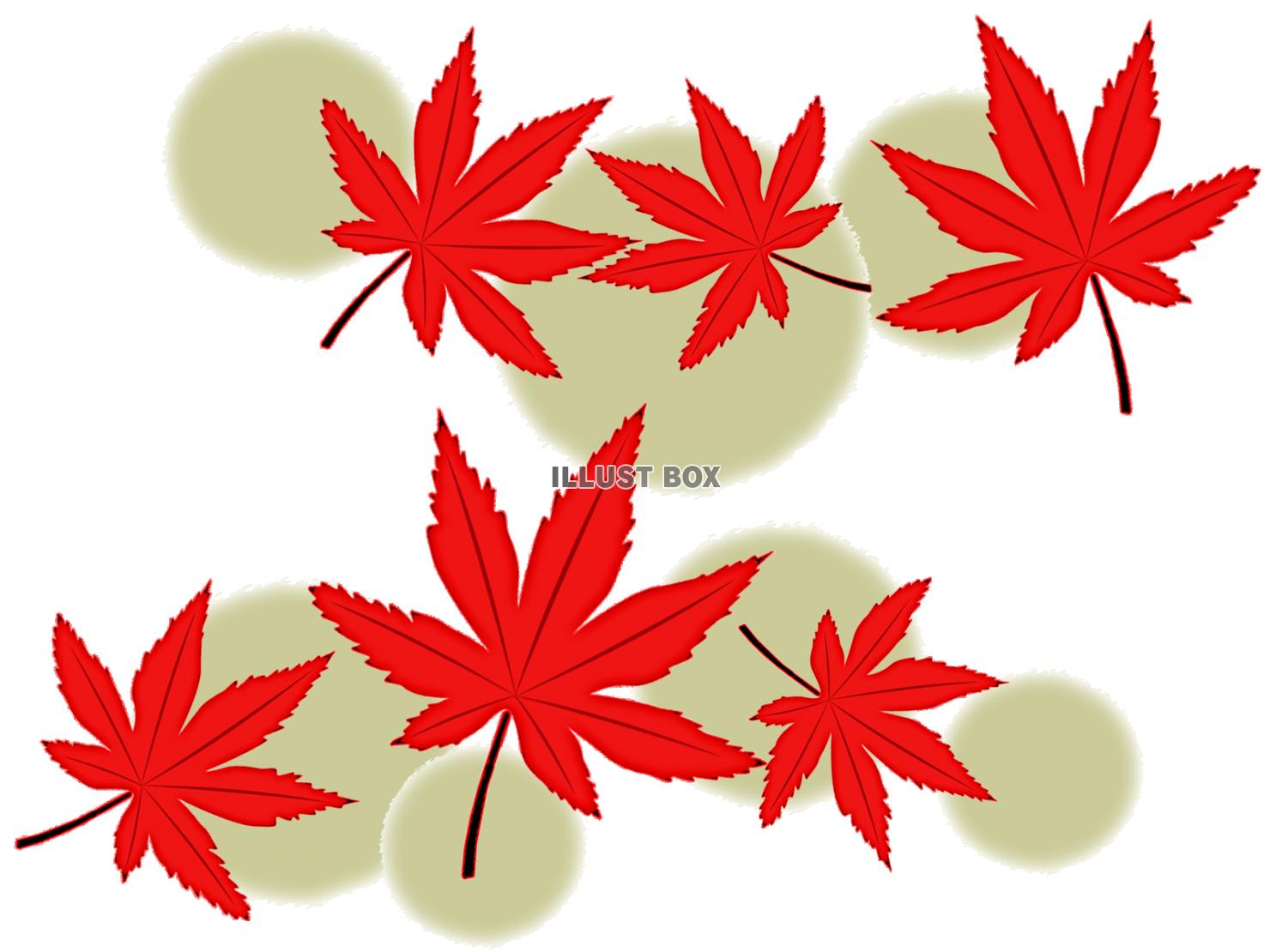 無料イラスト 紅葉の葉っぱ壁紙シンプル背景素材イラスト 透過png