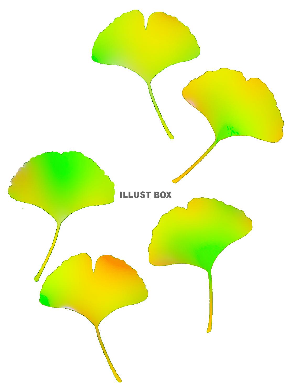 無料イラスト 銀杏の葉っぱ壁紙シンプル背景素材イラスト 透過png