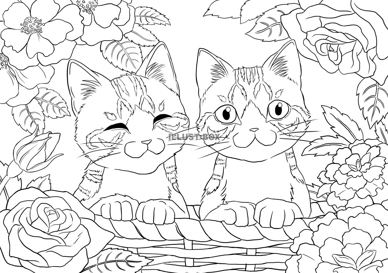 無料イラスト ならんでカゴに入っている子猫の塗り絵