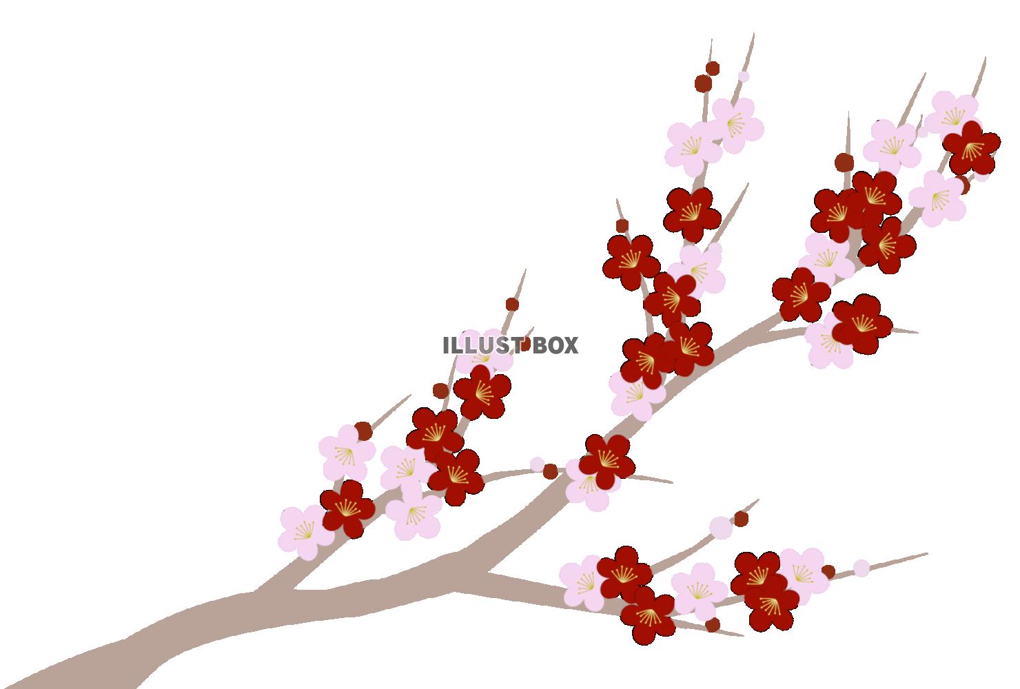 無料イラスト 年賀状素材 シックな枝梅の花 和風イラスト