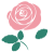 ピンクの薔薇の花のイラスト　一輪　透過PNG