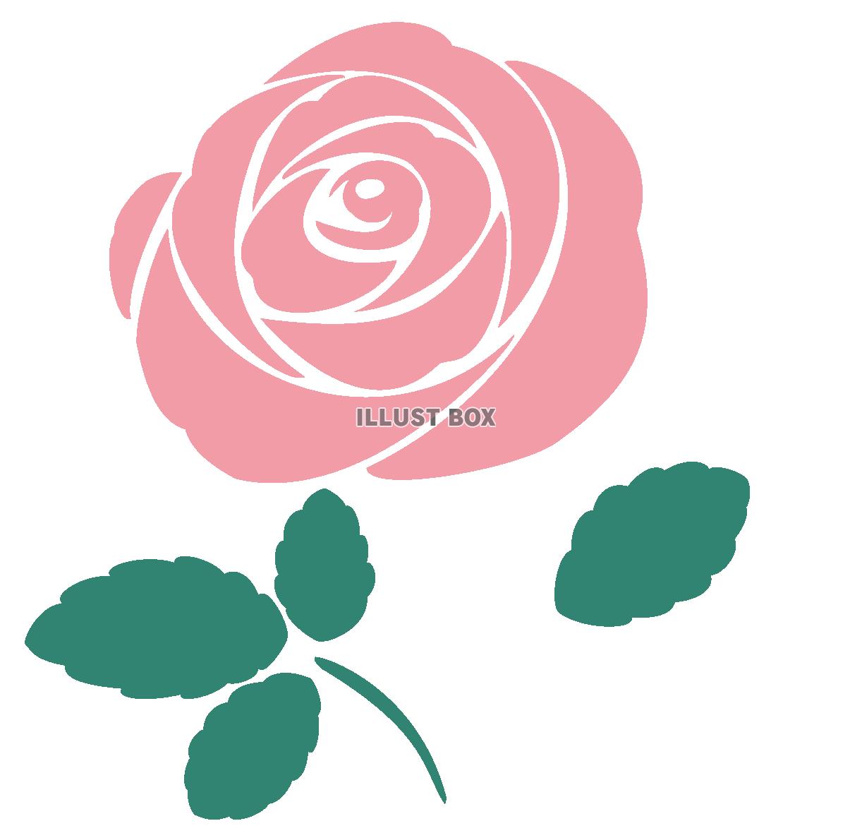 無料イラスト ピンクの薔薇の花のイラスト 一輪 透過png