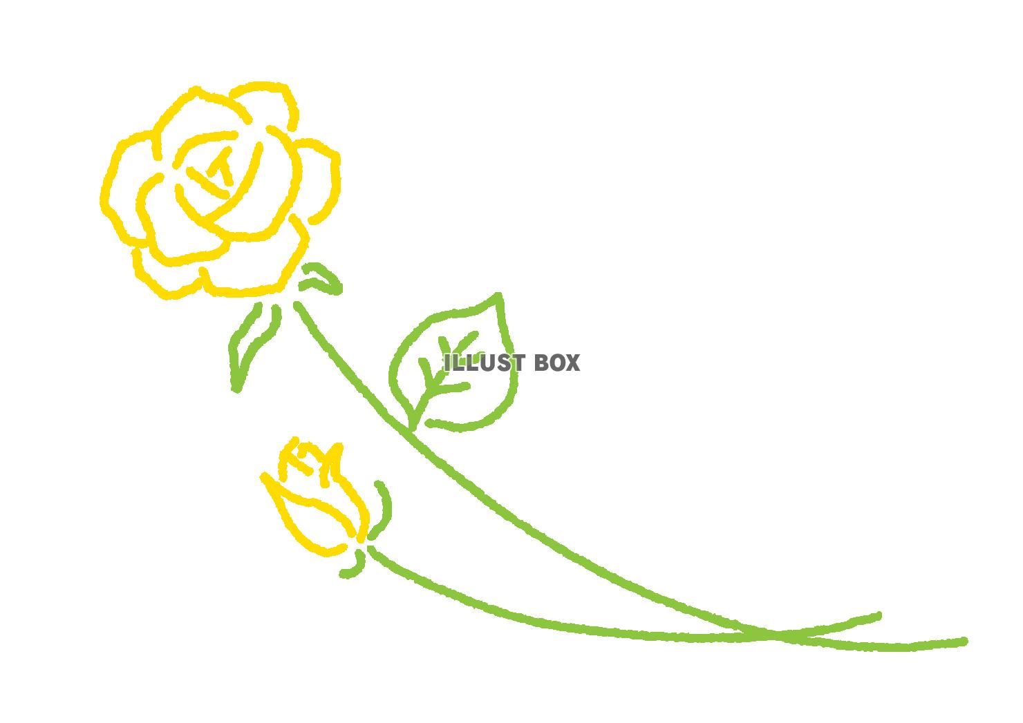 無料イラスト 黄色いバラ 薔薇の花 シンプルカラー線画
