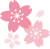 桜の花イラスト