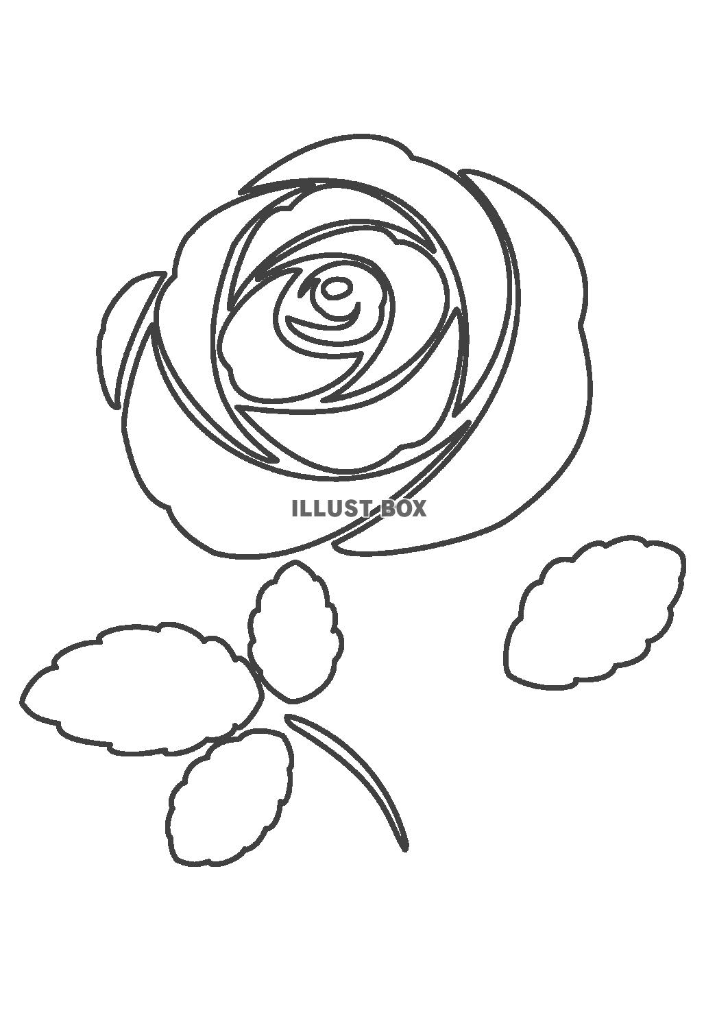 無料イラスト 線画 一輪の薔薇 ぬりえ素材 シンプル 透過png