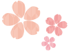 桜の花に矢羽根模様のイラスト　春の和風素材　透過PNG
