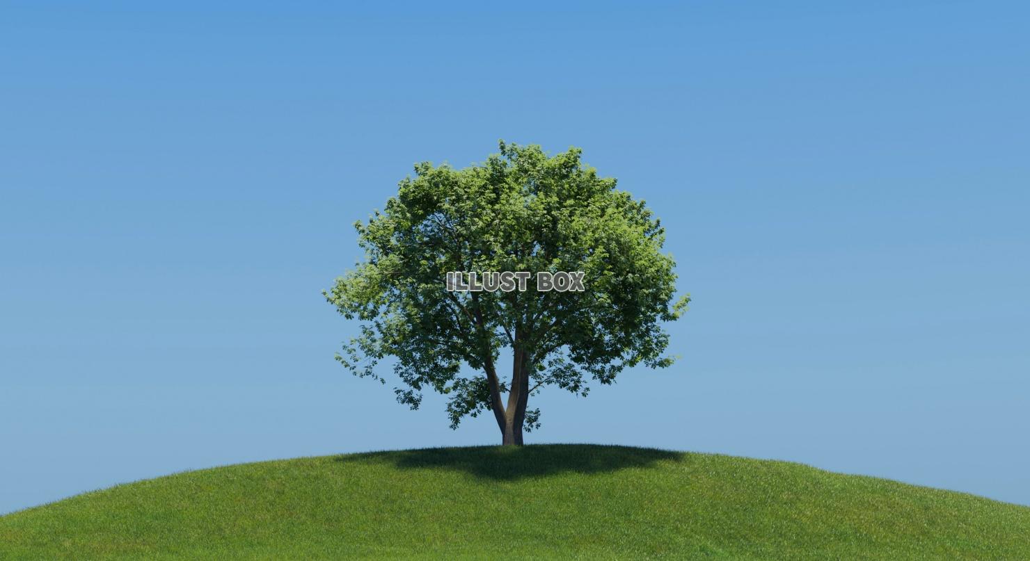 無料イラスト 背景 青空と草原と木