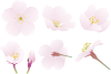 桜セット