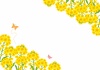  春のイラスト★菜の花の背景フレーム