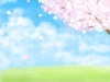 満開の桜　春の風景