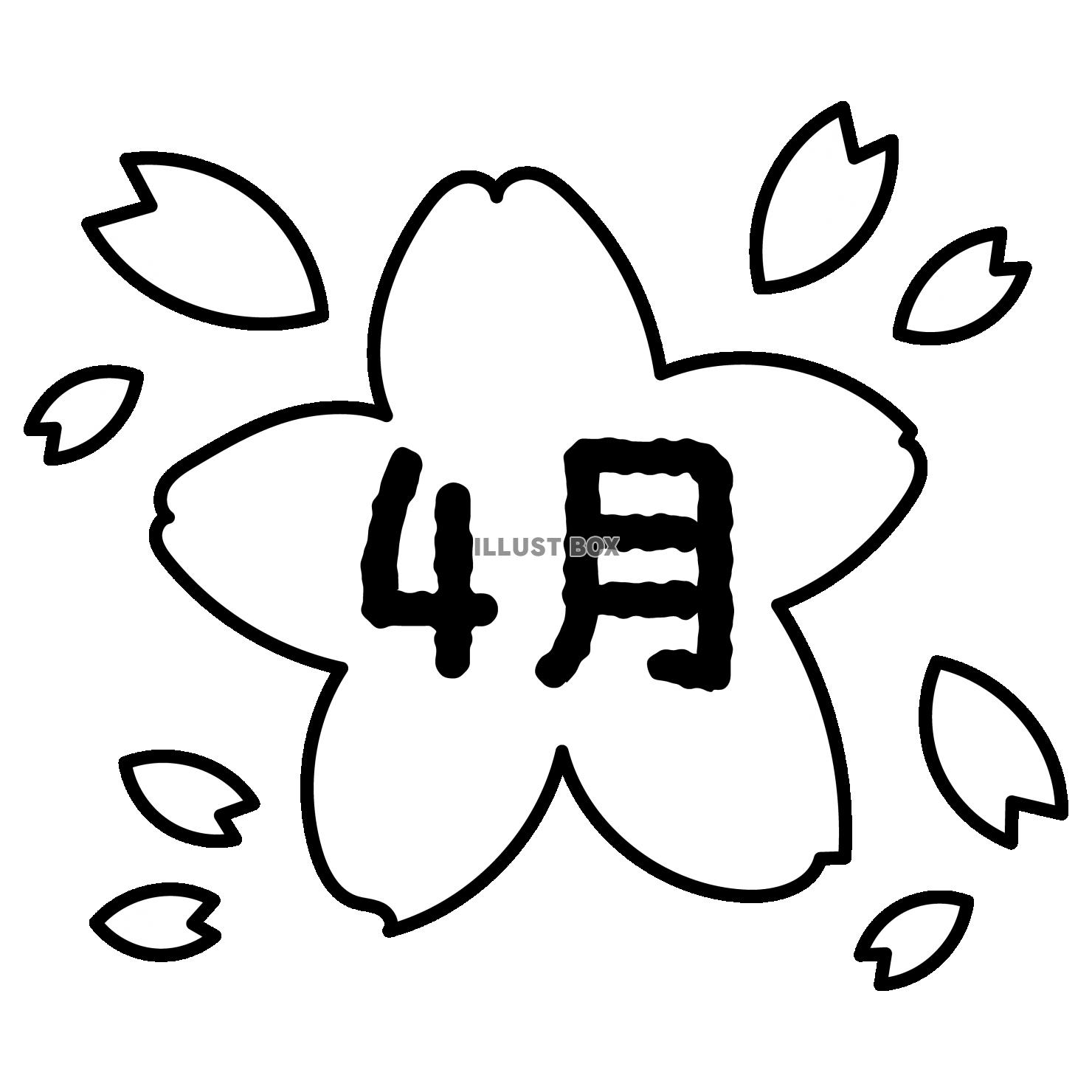 無料イラスト 7 枠 桜の花 4月