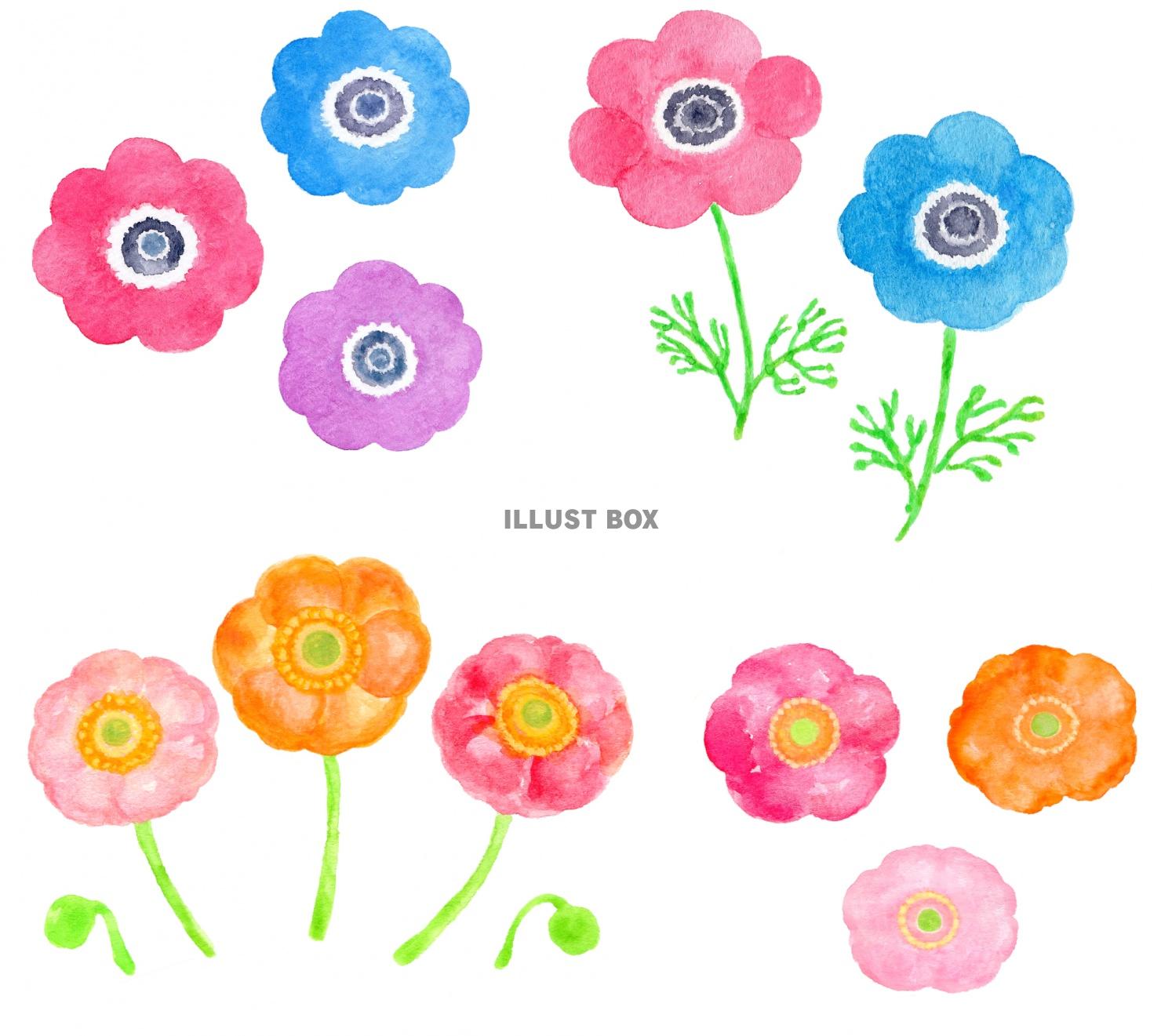 無料イラスト 水彩の春の花のセット