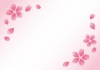 春　桜　ピンク　背景　フレーム