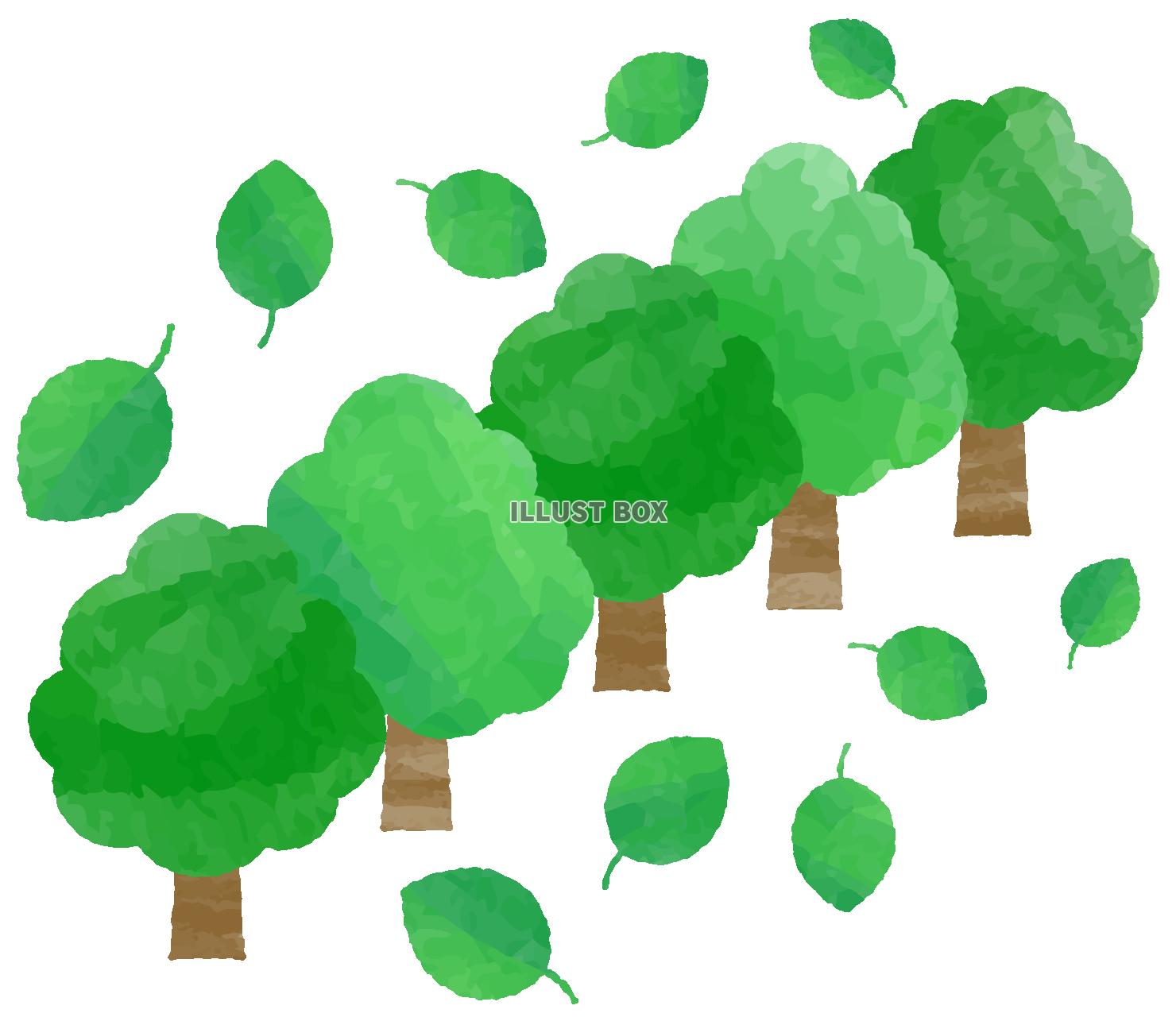 緑の葉 イラスト無料