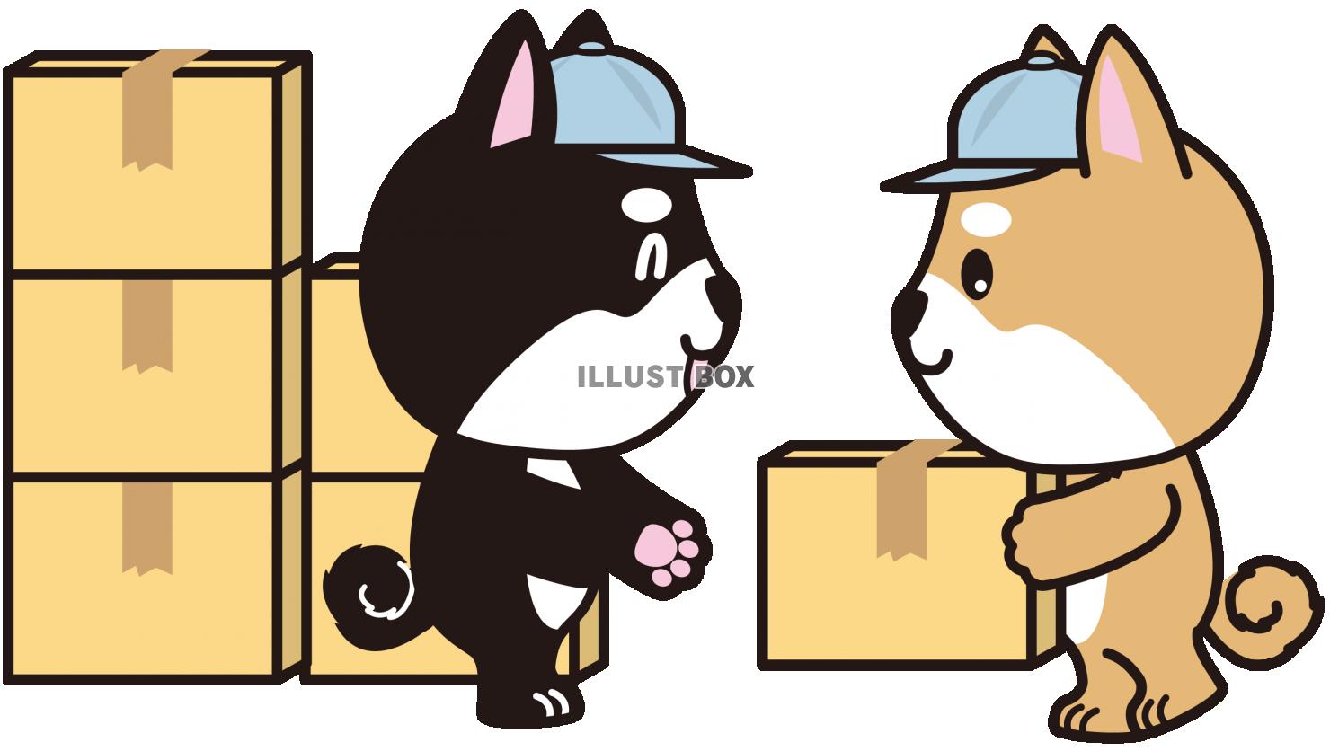 荷受しばちゃん（透過PNG）