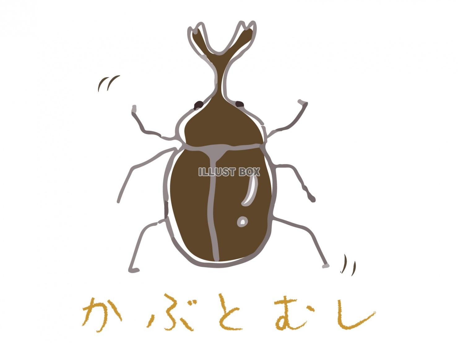 かぶとむし(カブト虫)のカラーイラスト