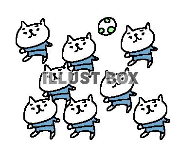 ゆるゆるサッカーねこさん１２