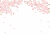 春のイラスト★桜の背景フレーム