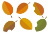 秋の葉っぱイラスト/木の葉