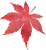 水彩紅葉　赤（透過PNG）