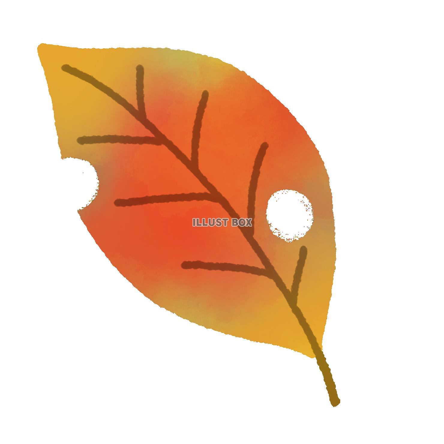 手書きの 秋の葉っぱ素材2