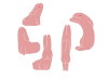 卯の字になるうさぎの年賀状素材　ピンク